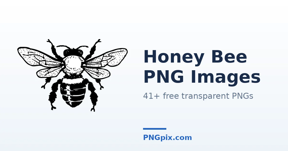 Honey Bee PNG images