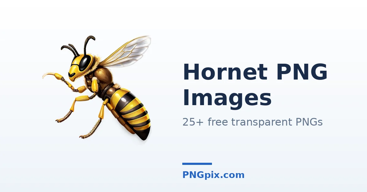 Hornet PNG images