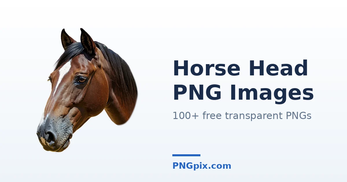 Horse Head PNG images