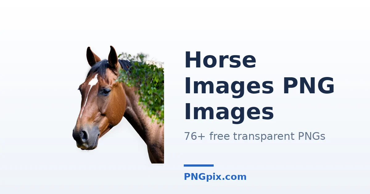 Horse Images PNG images
