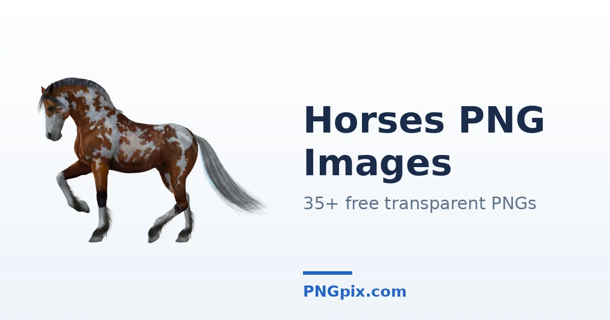 Horses PNG images