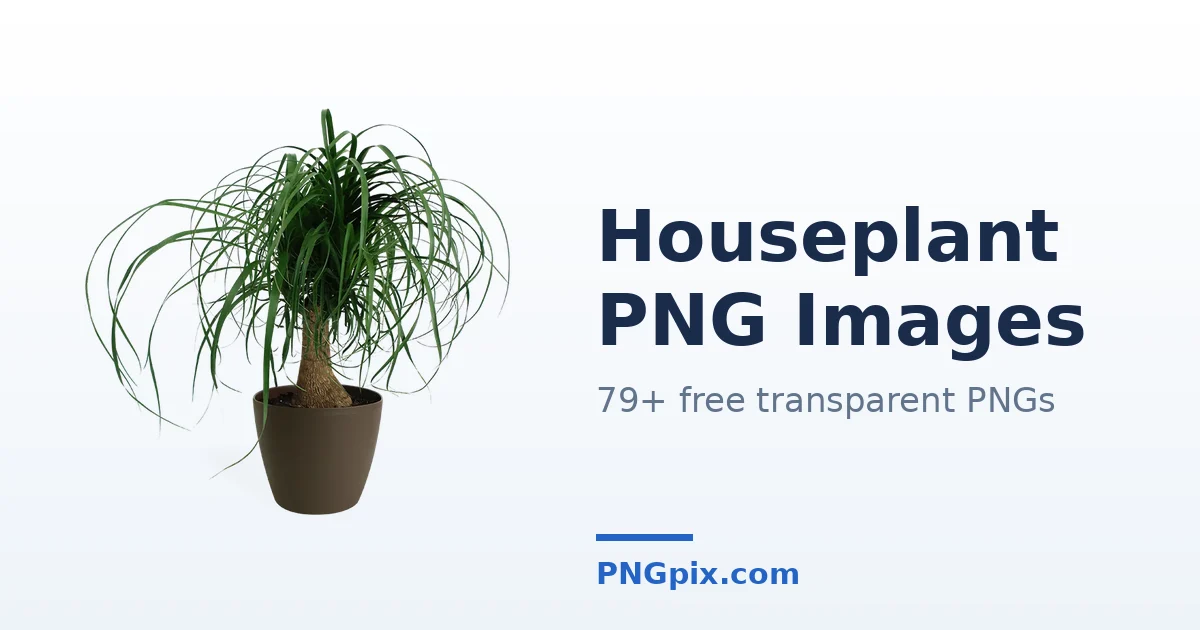 Houseplant PNG images