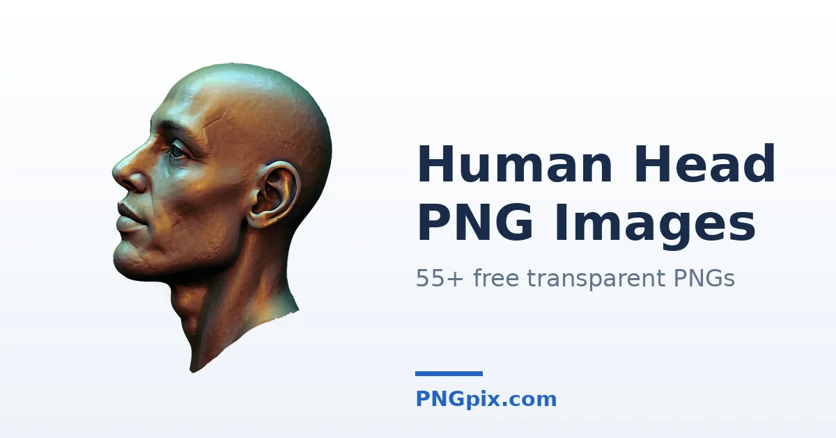 Human Head PNG images