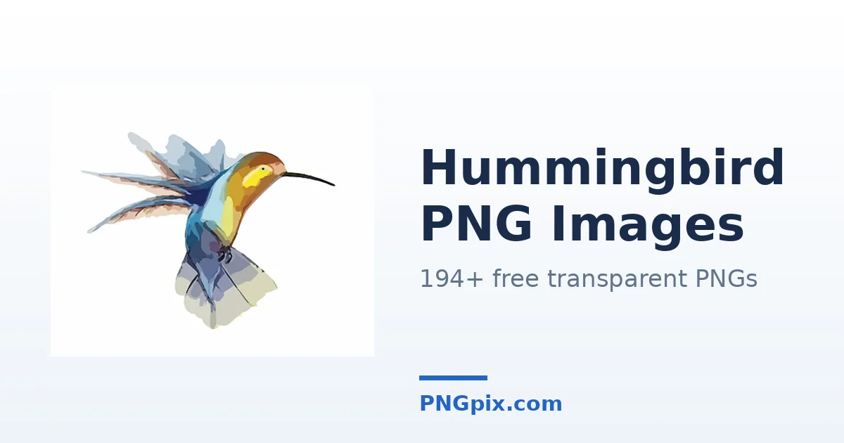 Hummingbird PNG images