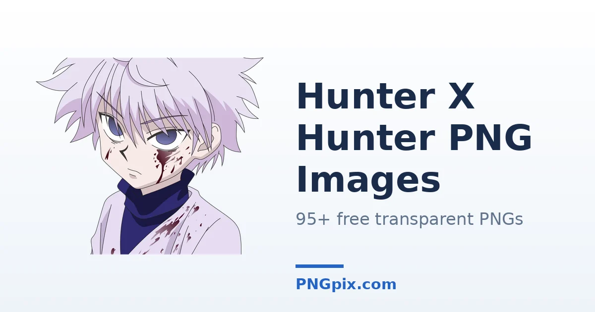 Hunter X Hunter PNG images