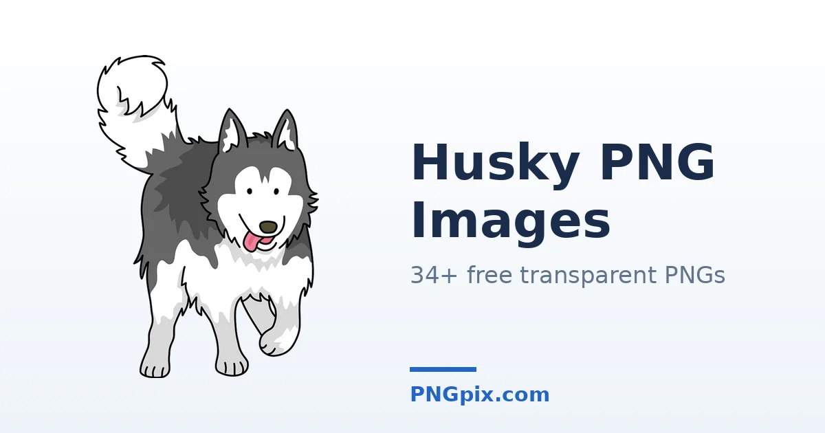 Husky PNG images
