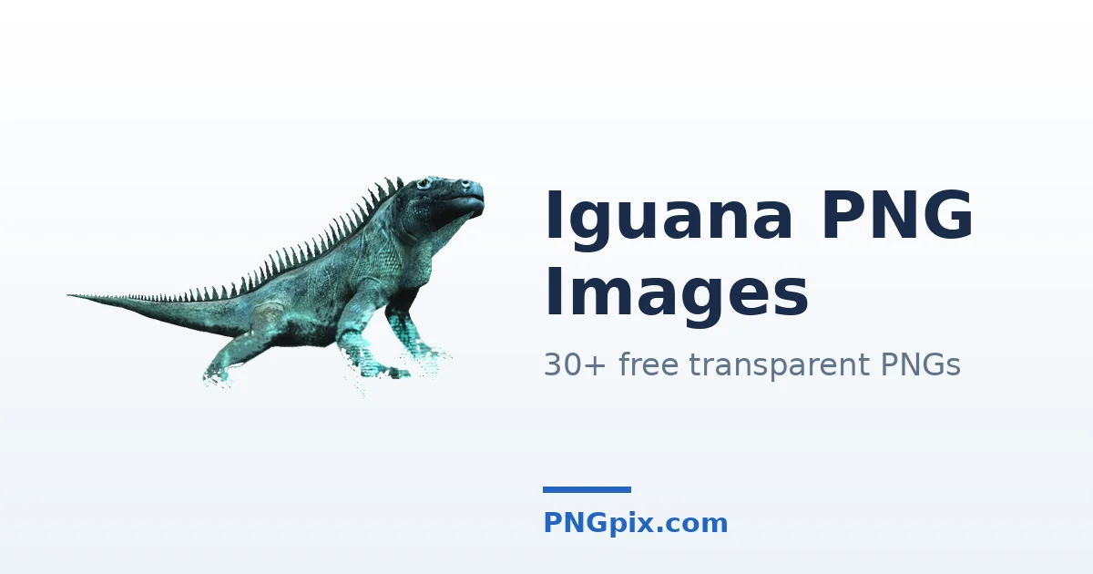 Iguana PNG images