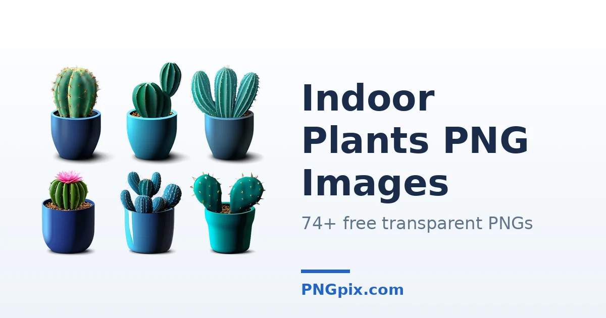 Indoor Plants PNG images