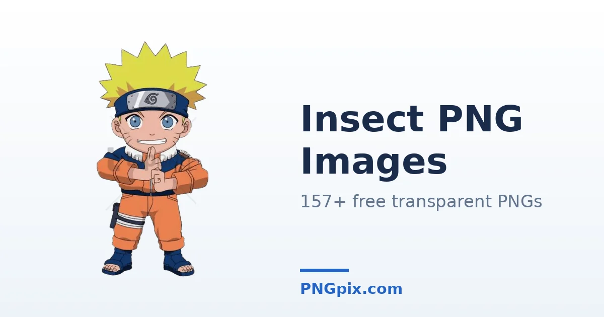 Insect PNG images