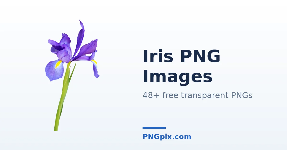 Iris PNG images