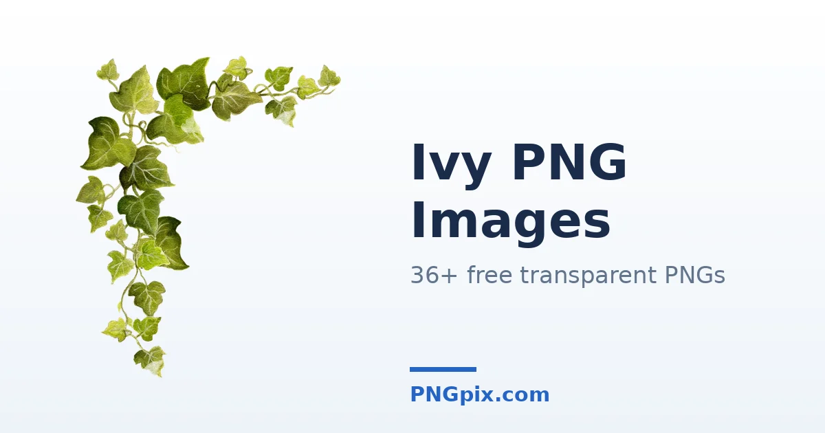 Ivy PNG images