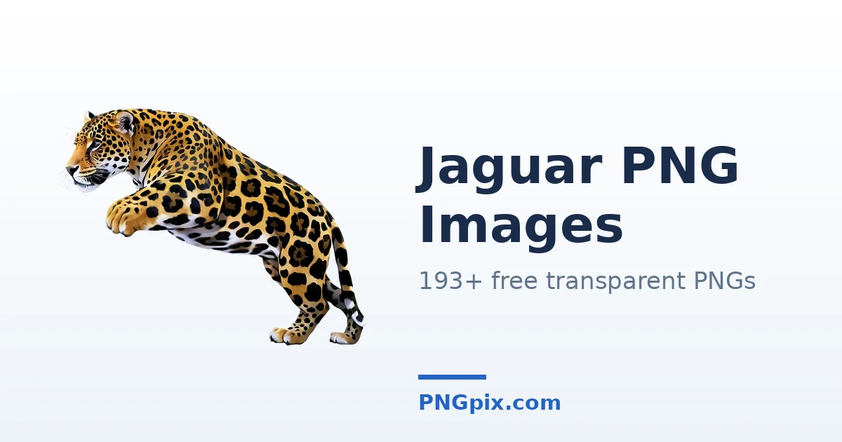 Jaguar PNG images