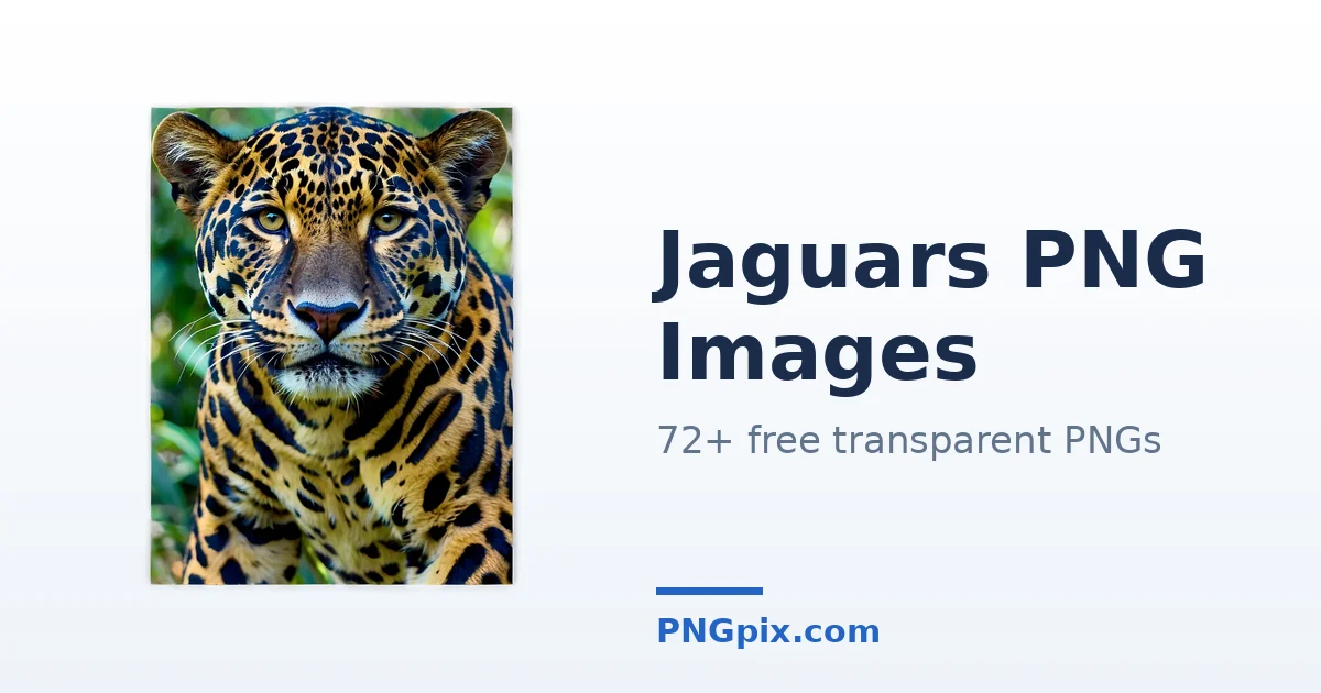 Jaguars PNG images
