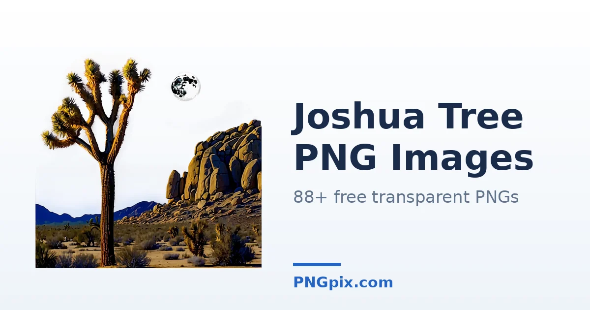 Joshua Tree PNG images