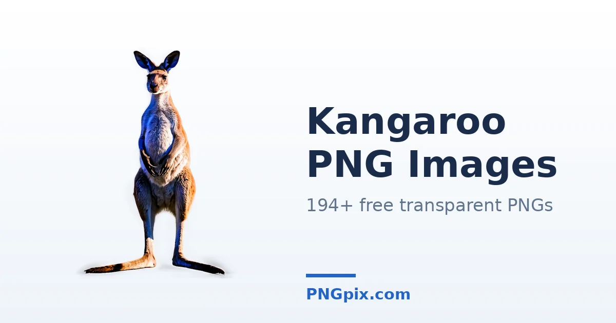 Kangaroo PNG images