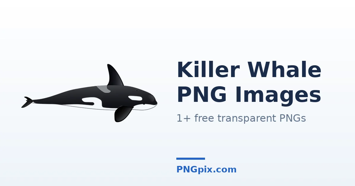 Killer Whale PNG images