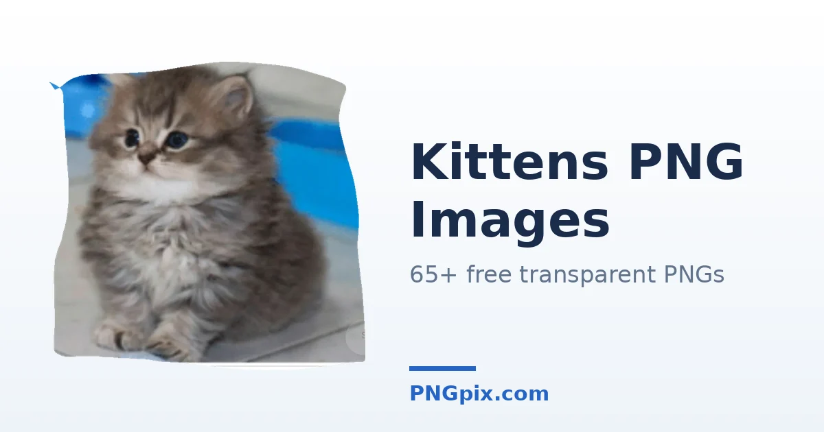 Kittens PNG images