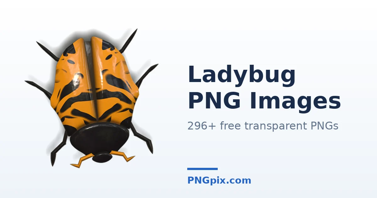 Ladybug PNG images