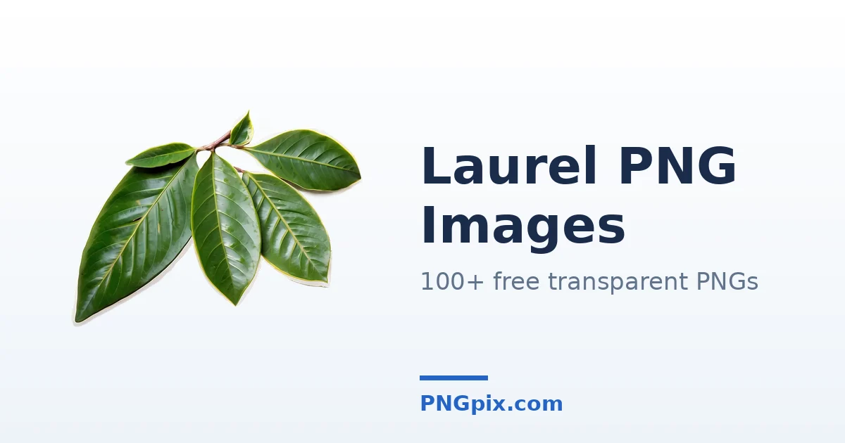 Laurel PNG images