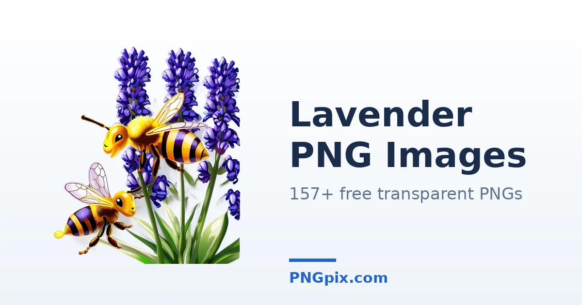 Lavender PNG images
