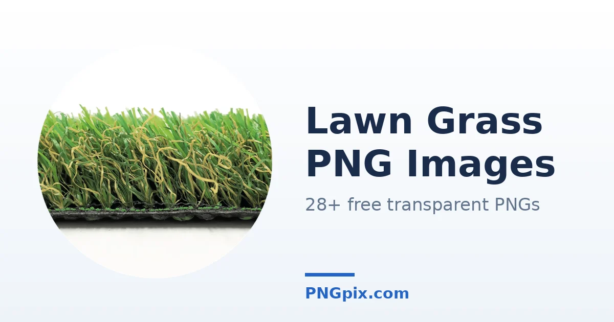 Lawn Grass PNG images