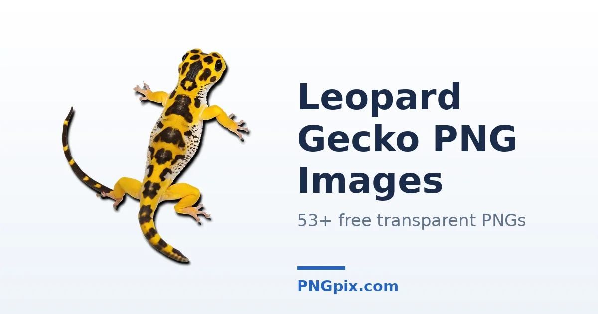 Leopard Gecko PNG images