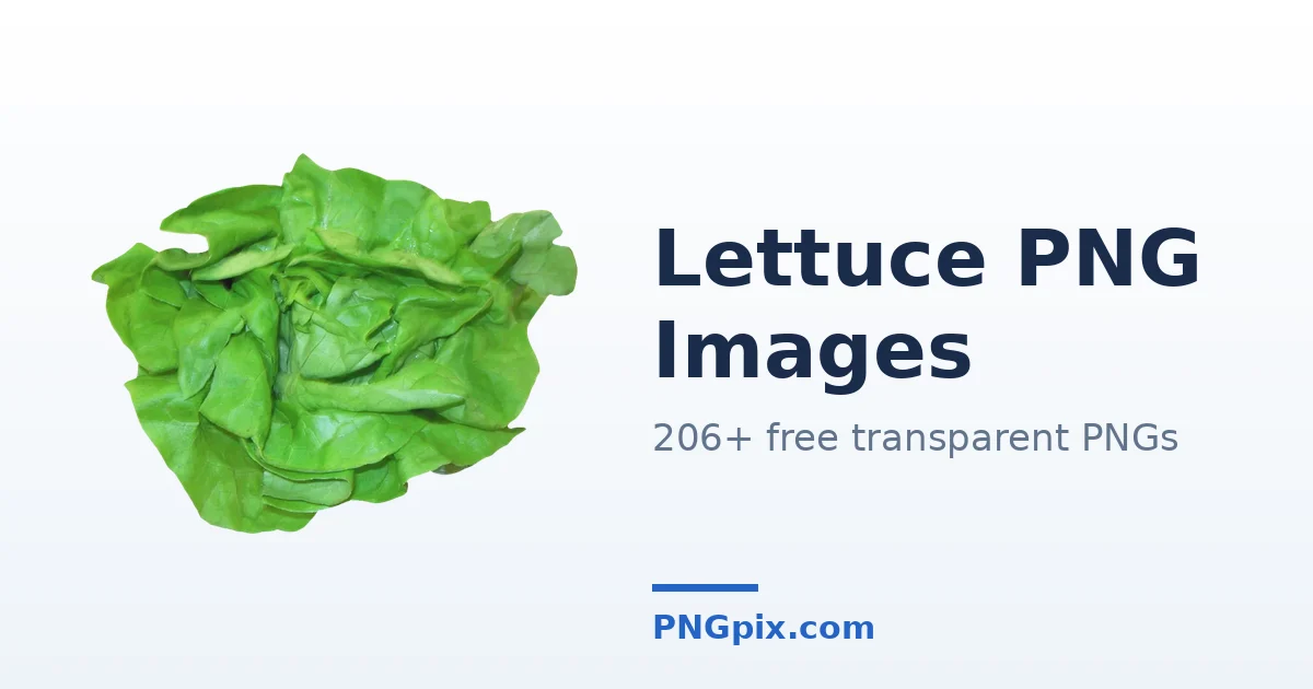 Lettuce PNG images