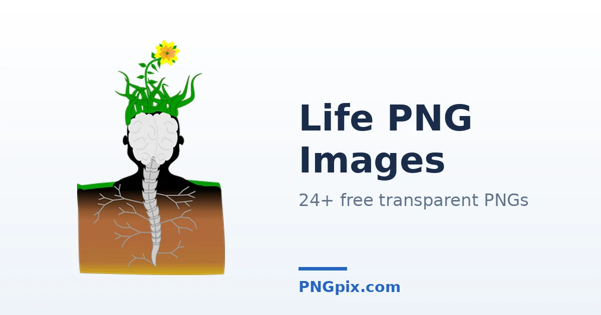 Life PNG images