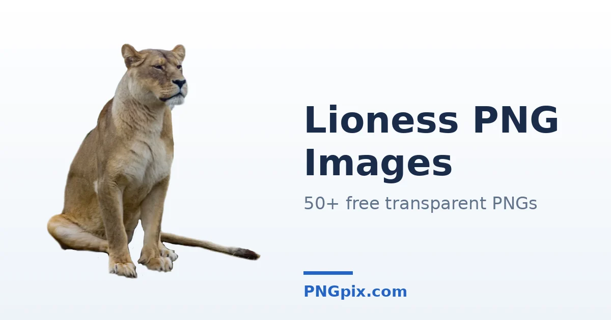 Lioness PNG images