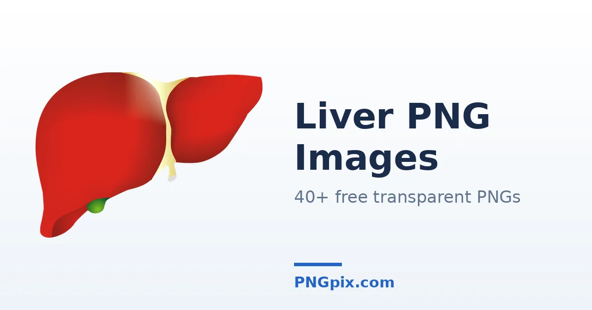 Liver PNG images