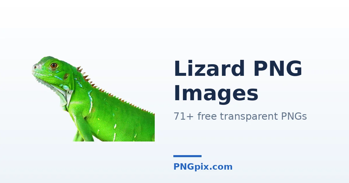 Lizard PNG images
