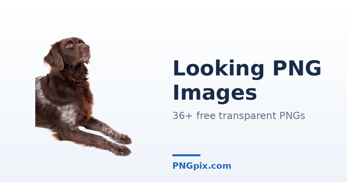 Looking PNG images