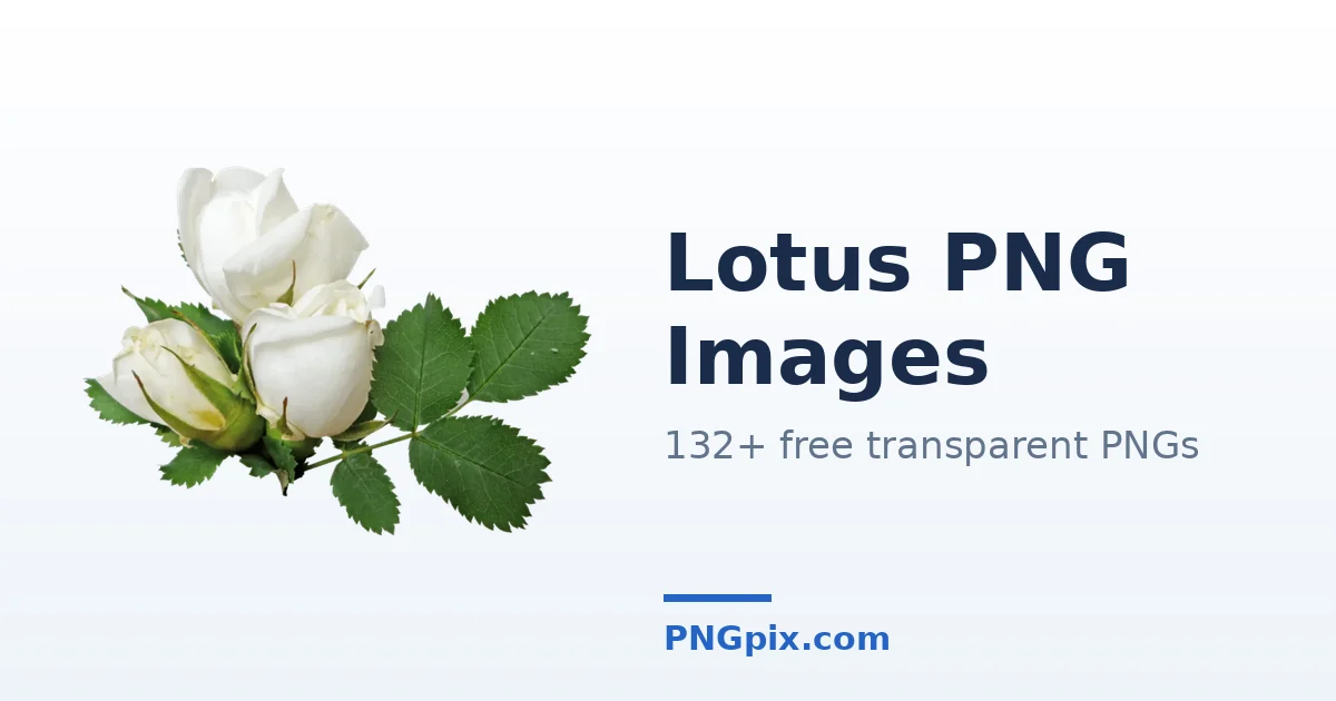Lotus PNG images