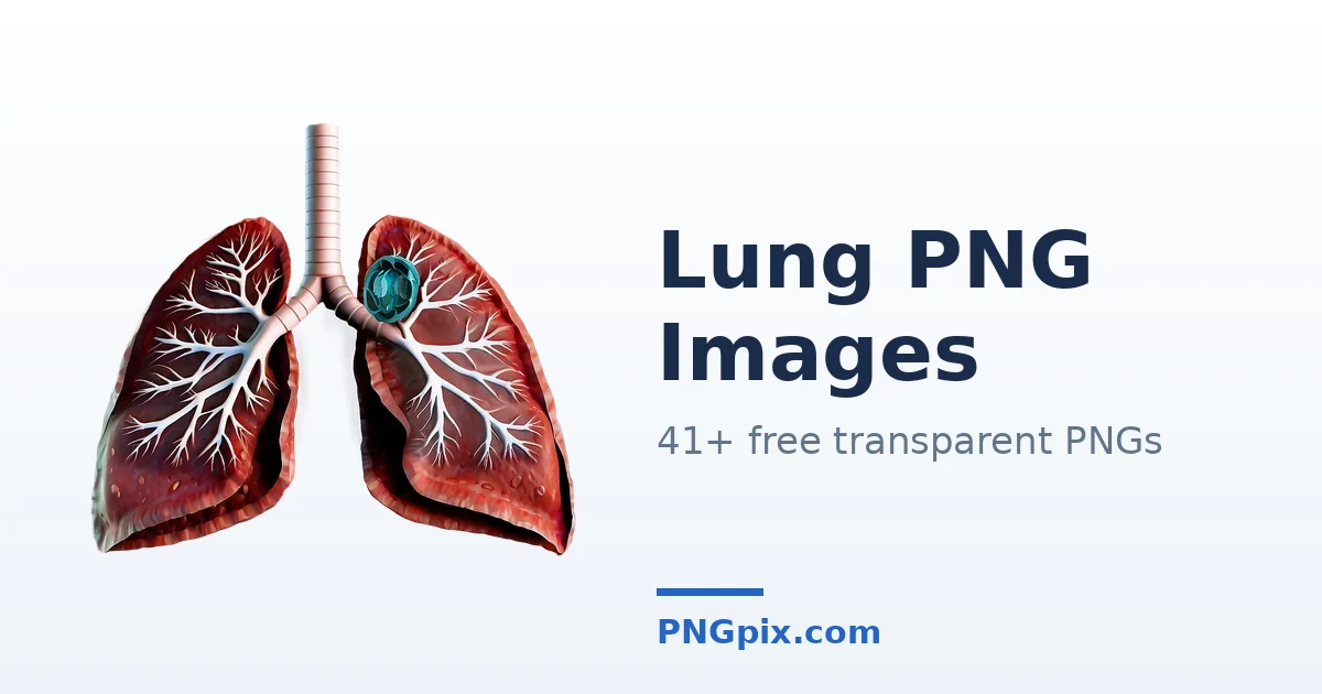 Lung PNG images