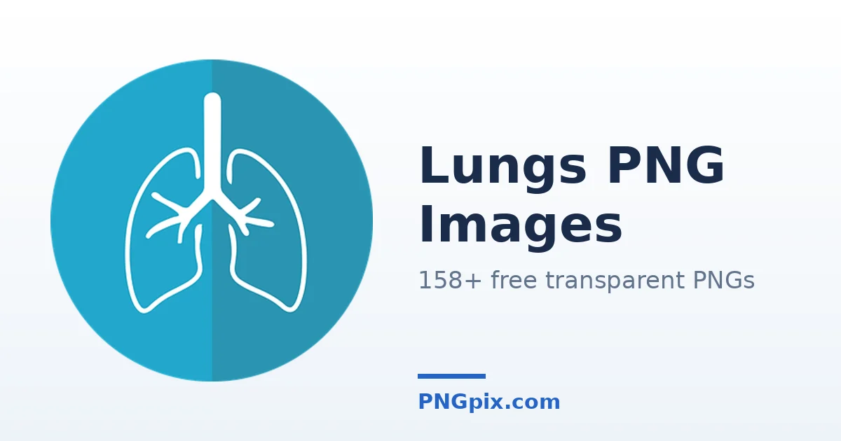 Lungs PNG images