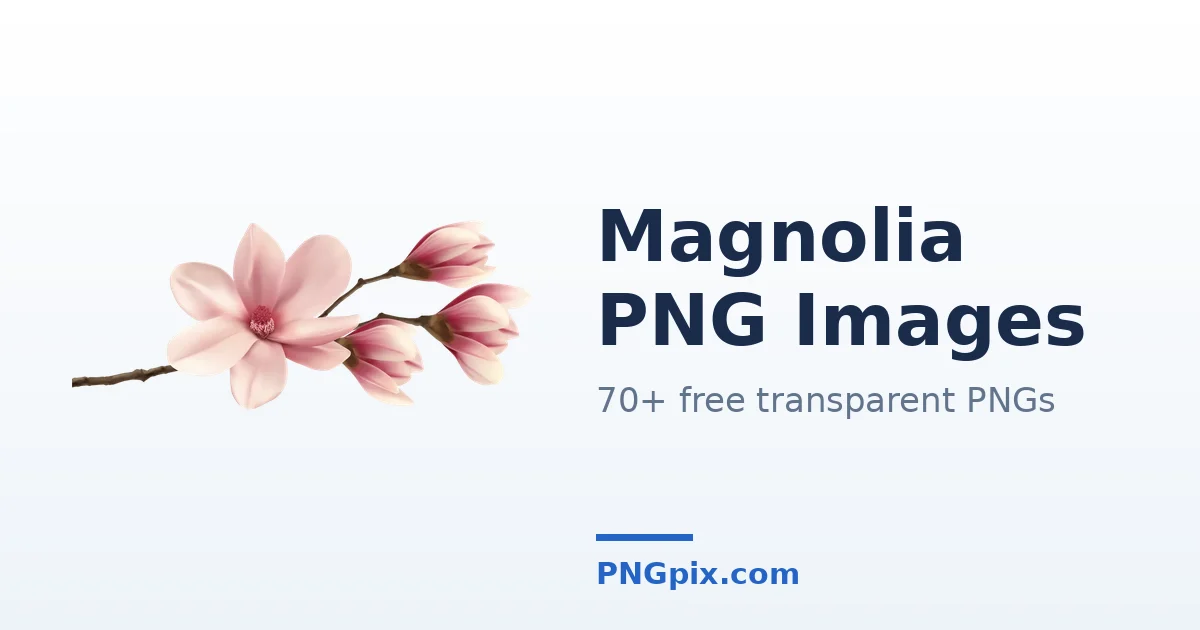 Magnolia PNG images