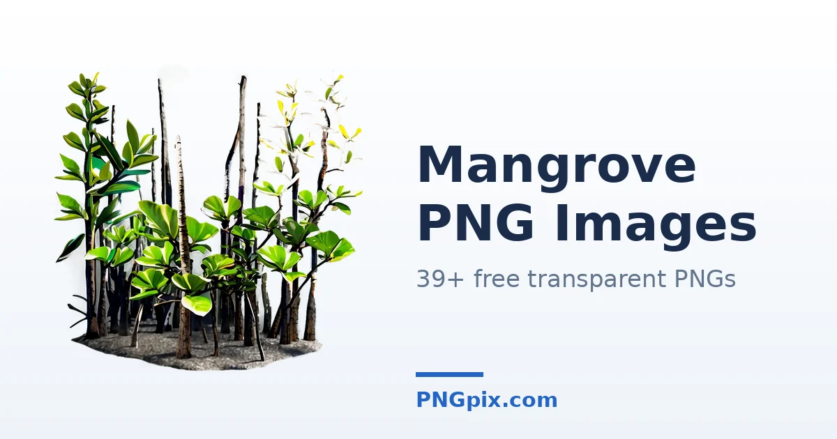 Mangrove PNG images