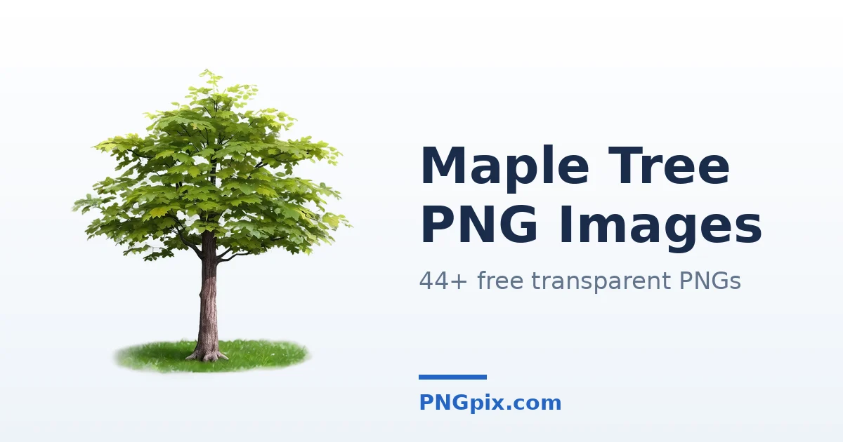 Maple Tree PNG images