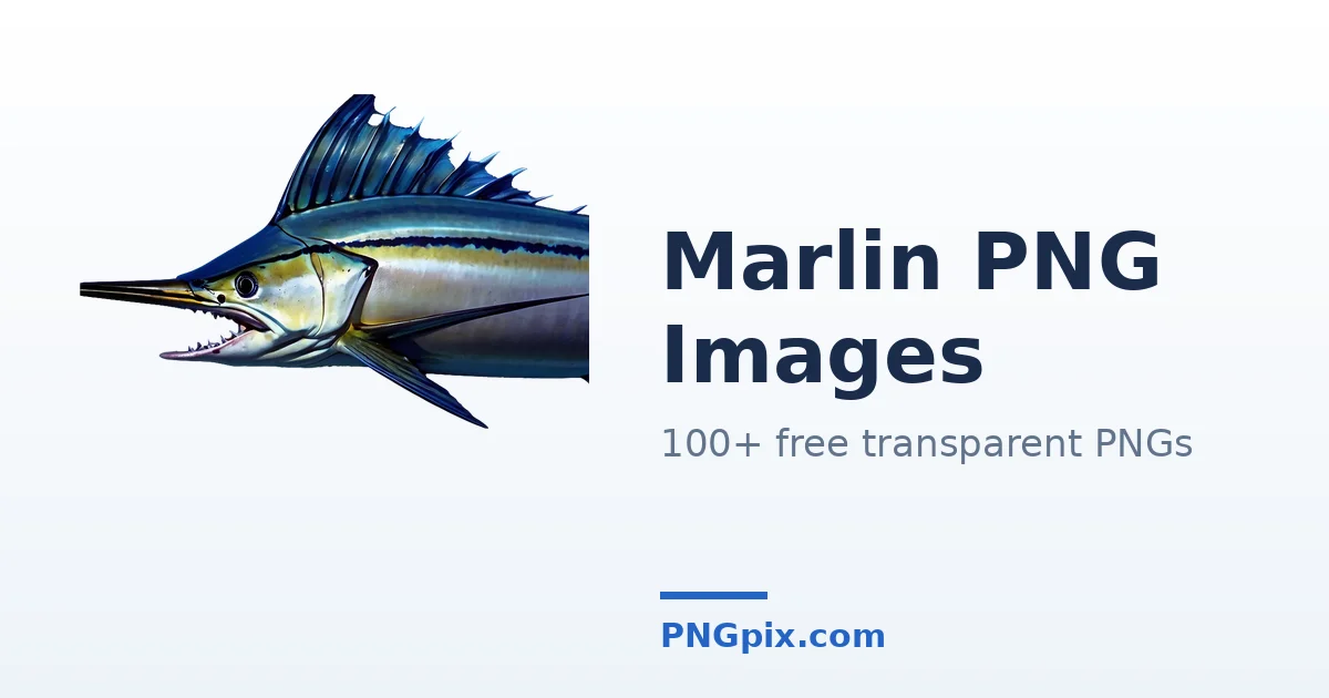 Marlin PNG images