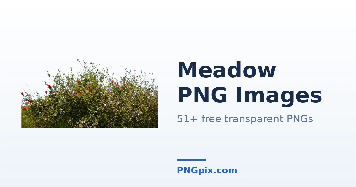 Meadow PNG images