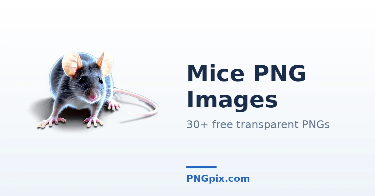 Mice PNG images