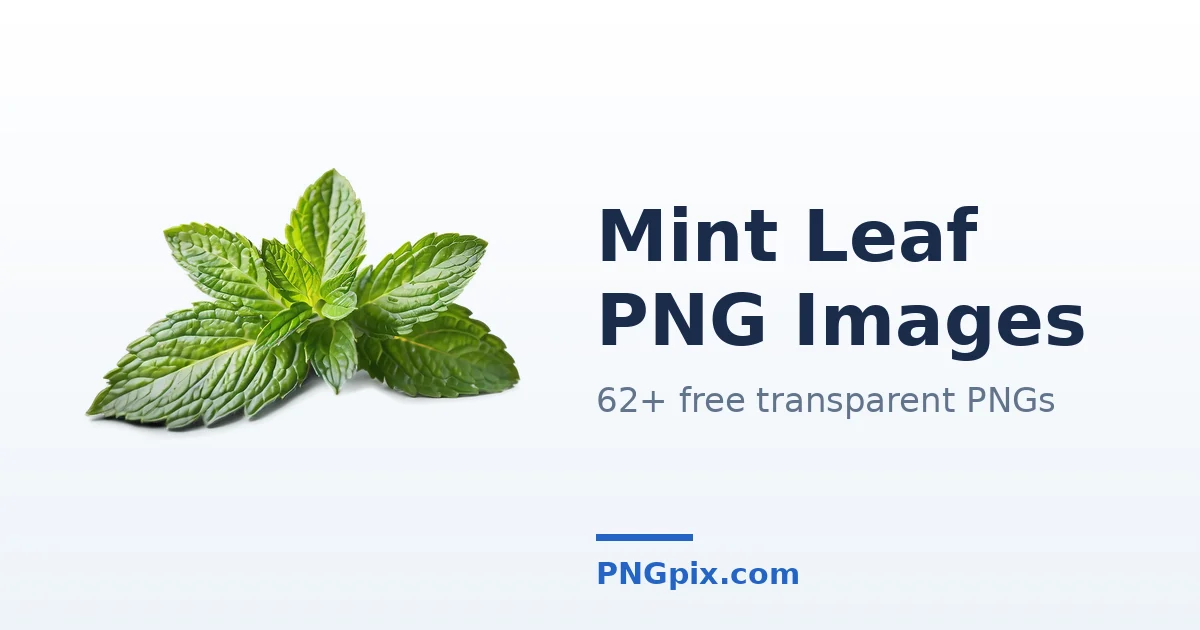 Mint Leaf PNG images