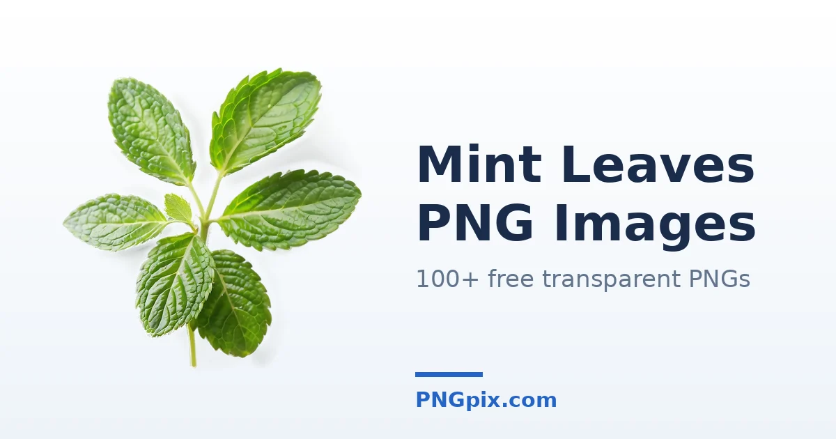 Mint Leaves PNG images
