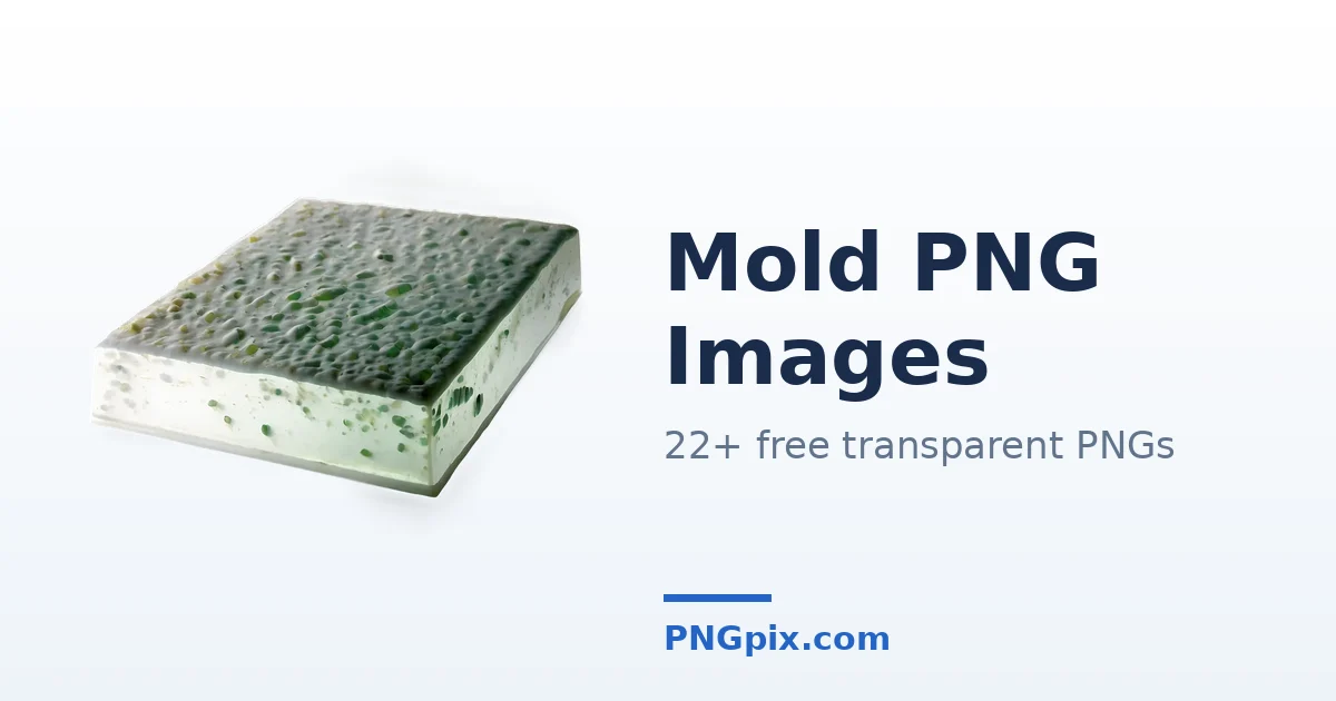 Mold PNG images