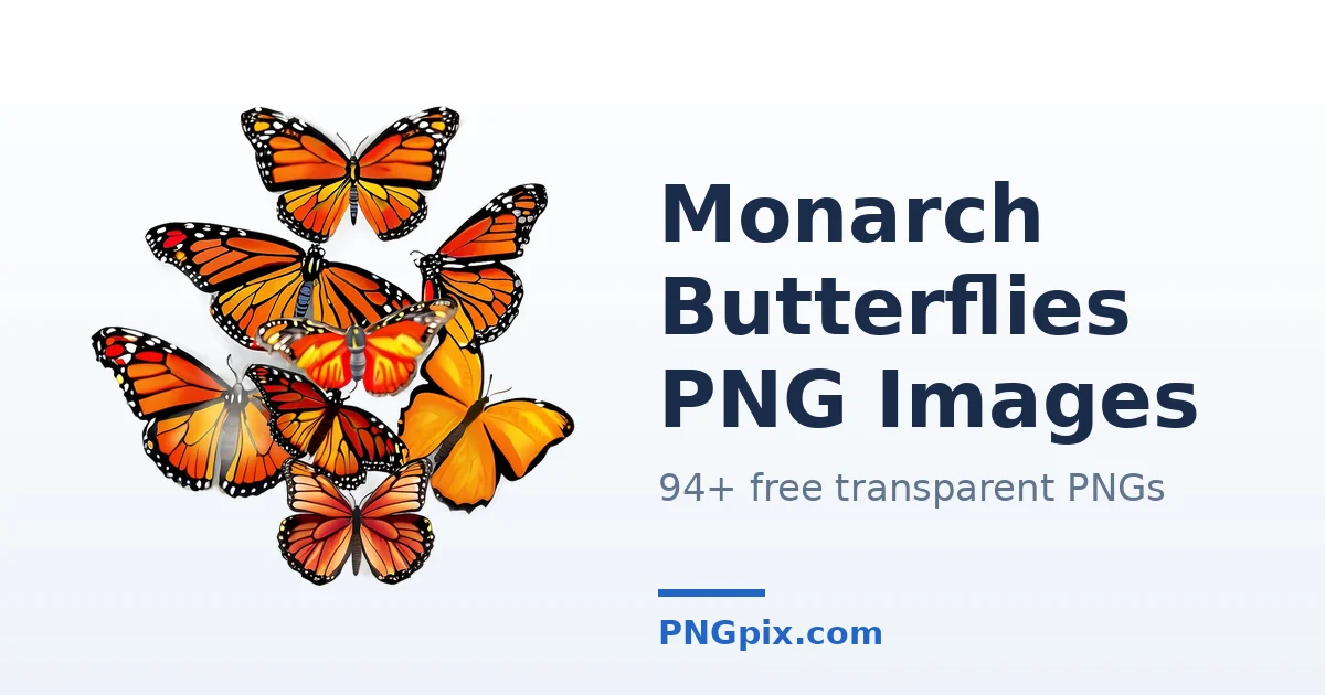 Monarch Butterflies PNG images