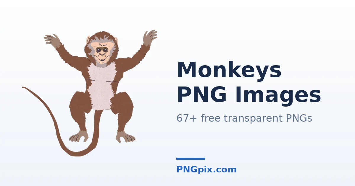 Monkeys PNG images