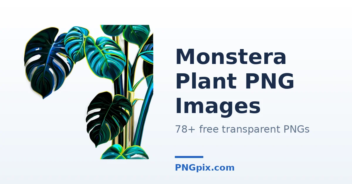 Monstera Plant PNG images