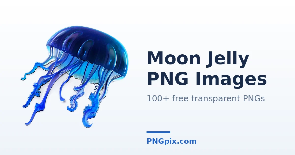 Moon Jelly PNG images