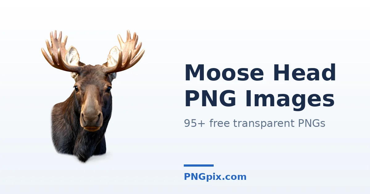 Moose Head PNG images