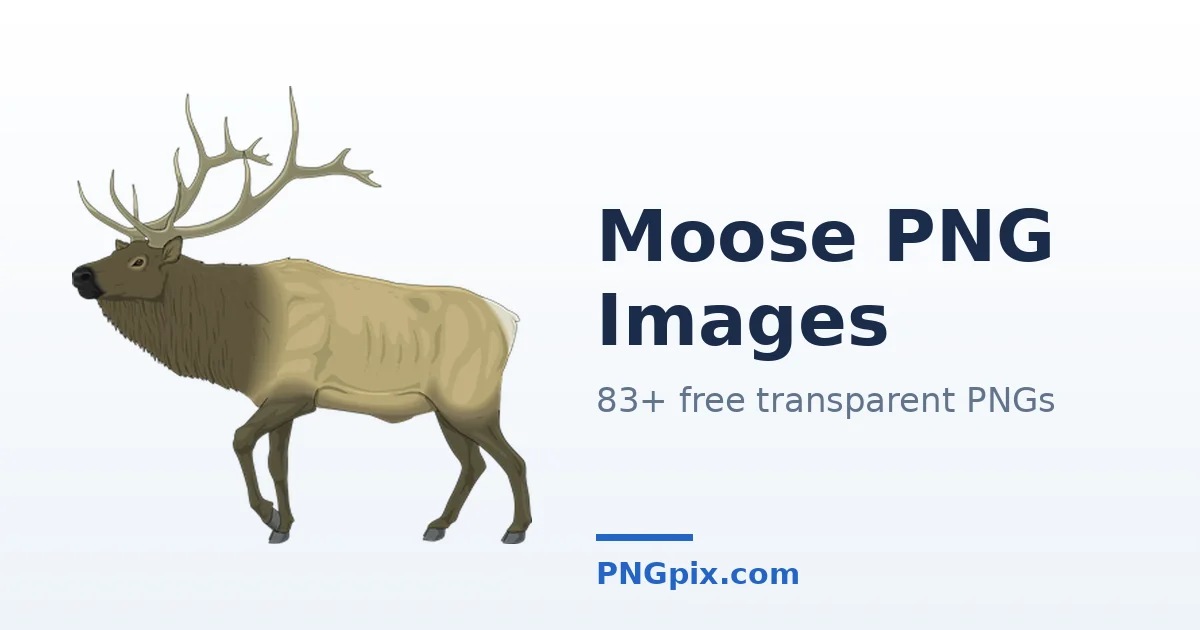 Moose PNG images